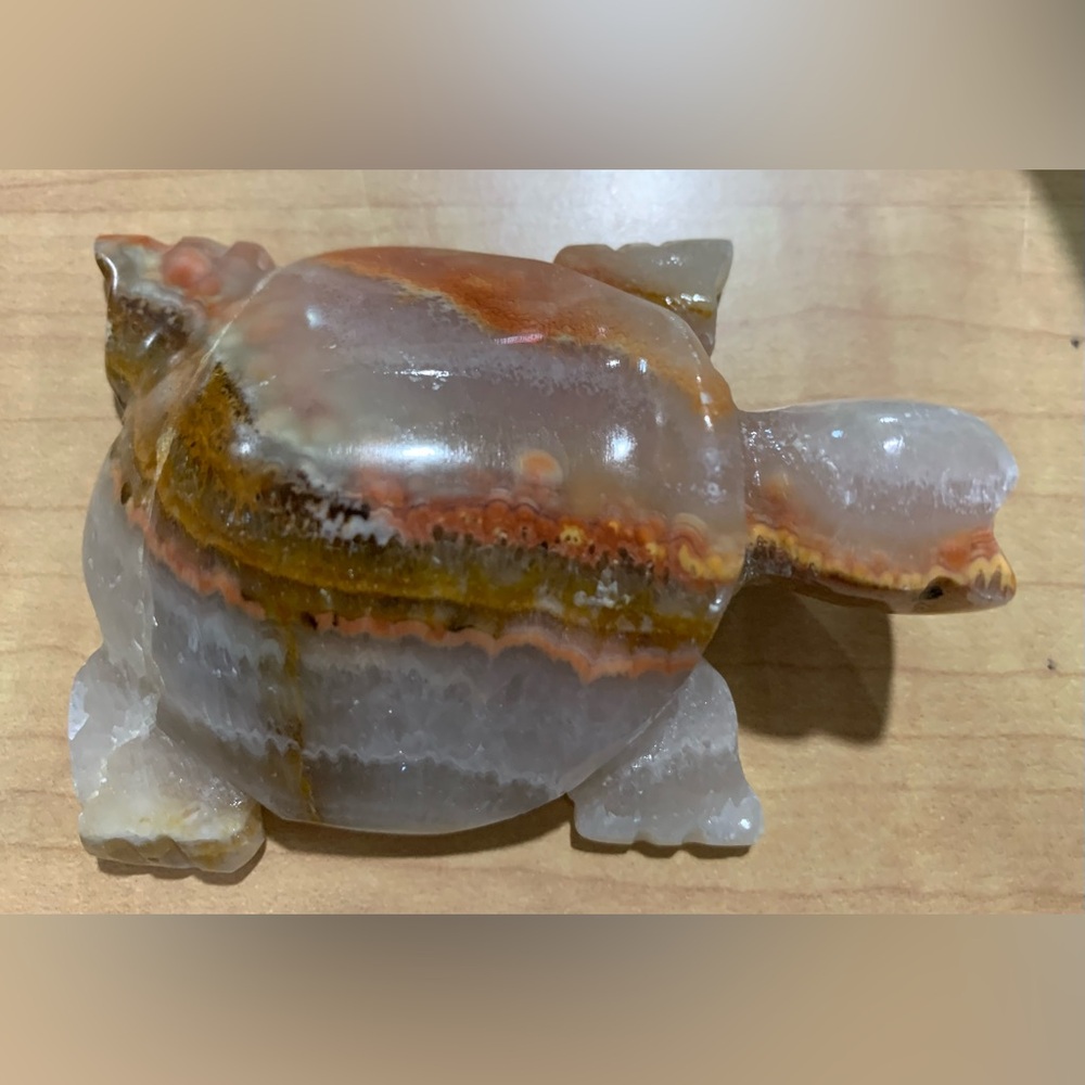 Onyx Turtle